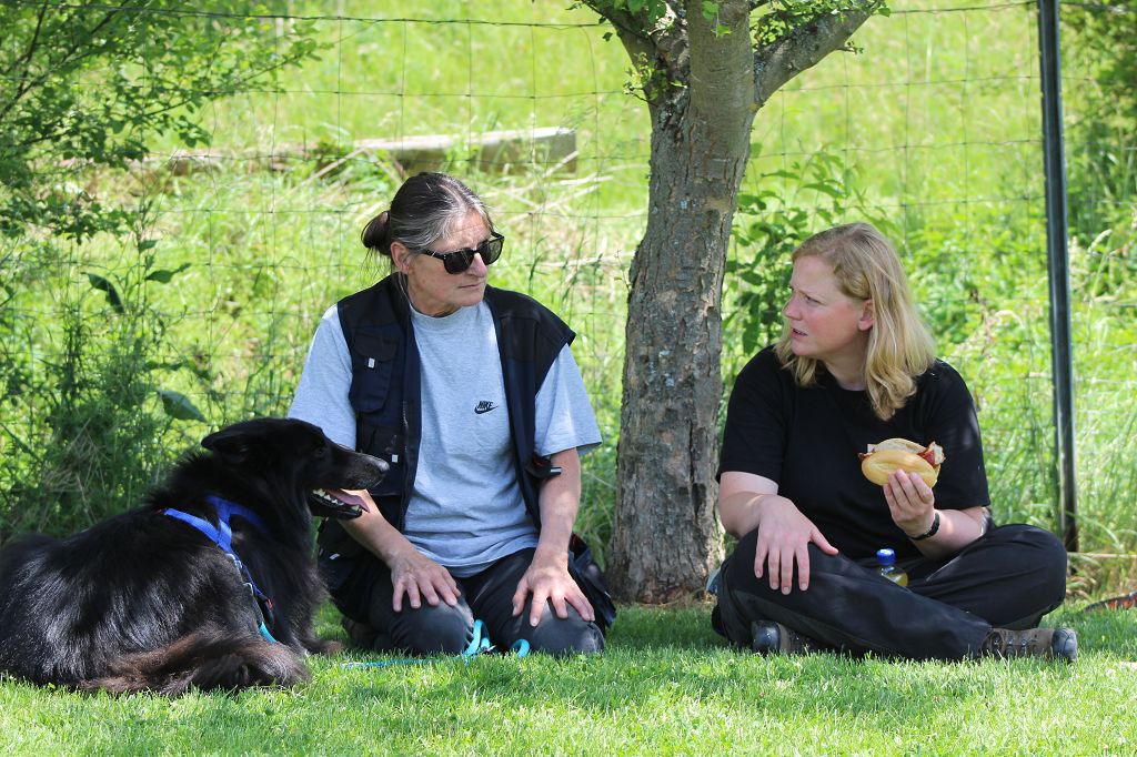 k IMG 8381