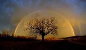 Regenbogenbrcke