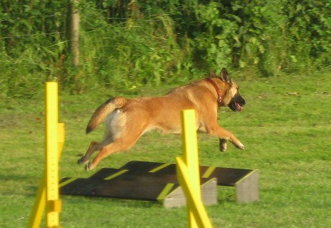20120717_1246395637_img_4226