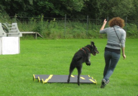 20120717_1764689913_img_4954