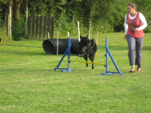 20120717_1789044092_img_4285