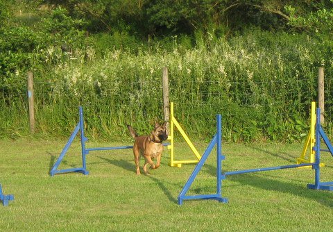 20120717_1937436186_img_4186