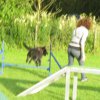20120717_1035204461_img_5022