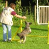 20120717_1150495839_img_5060