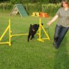 20120717_1238062495_img_4296