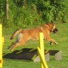 20120717_1246395637_img_4226