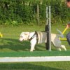 20120717_1360177638_img_4182