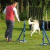 20120717_1370277866_img_4185