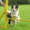 20120717_1567103462_img_4656