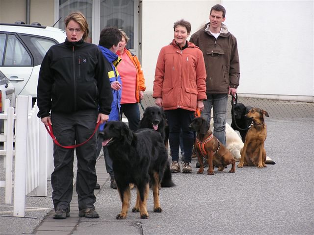 20080410_2030645643_verkehrsteil6