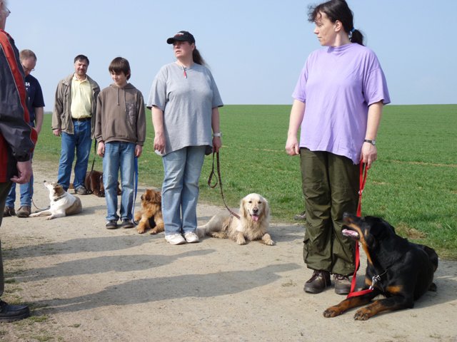 20090412_1197769494_verk-teil4