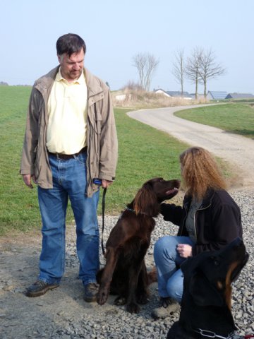 20090412_1550573787_chippen