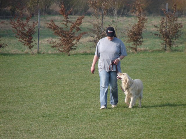 20090412_1741893805_fuss-aaron