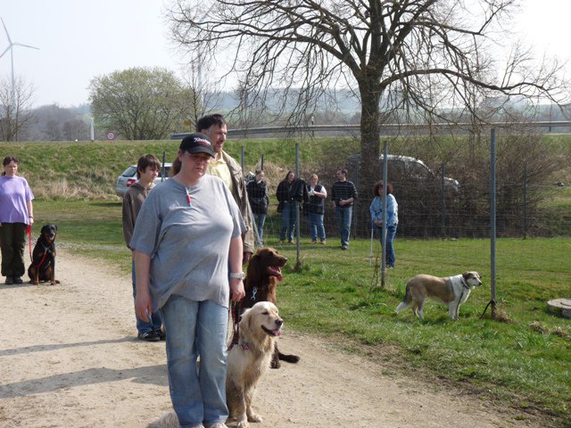 20090412_1769035467_verk-teil7