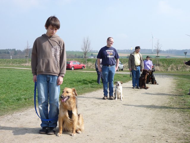 20090412_1804086247_verk-teil9