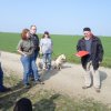 20090412_1517730403_verk-teil1