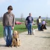 20090412_1804086247_verk-teil9