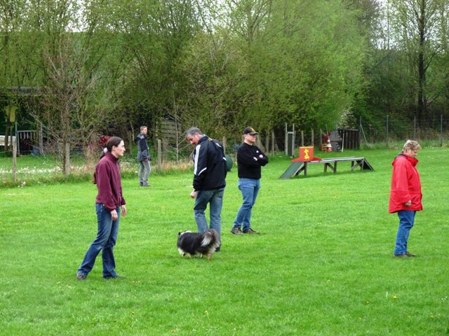 20101123_1486754866_p1040959