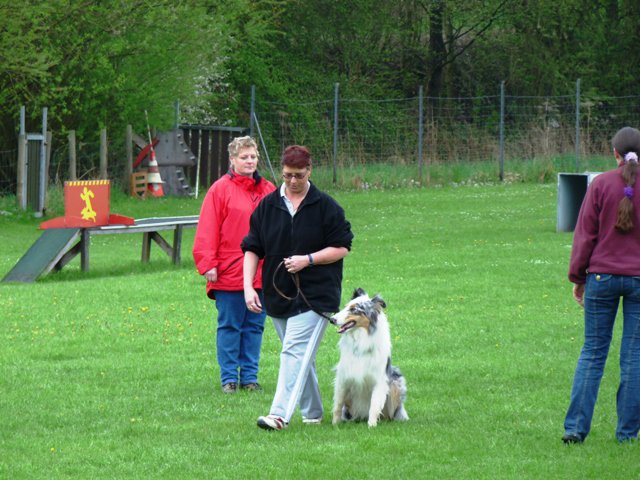 20101123_2007572735_p1040926
