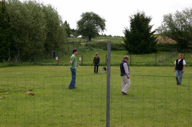 20110731_1181132489_img_5299