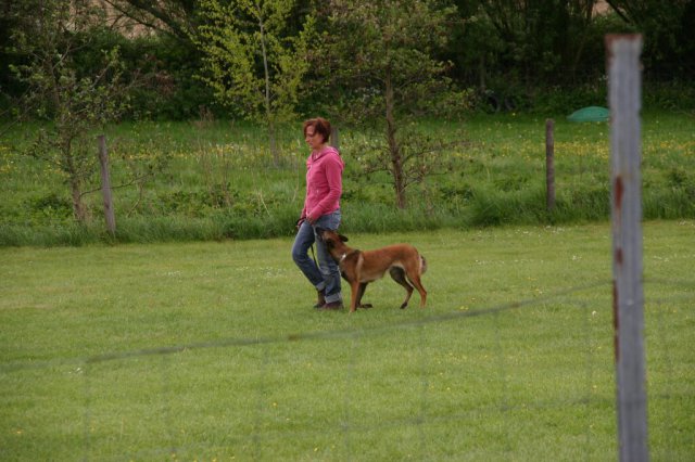 20110801_1235469428_img_5394