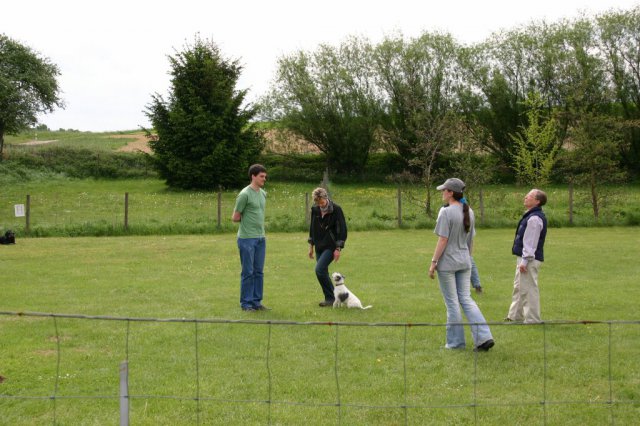 20110801_1729399375_img_5353