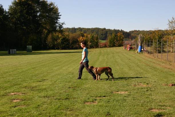 20111016_1973382490_bild30