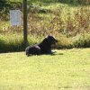 20111016_1985652336_bild35