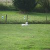 20120901_1070294019_dsci0077