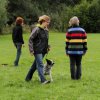 Begleithundepruefung2013