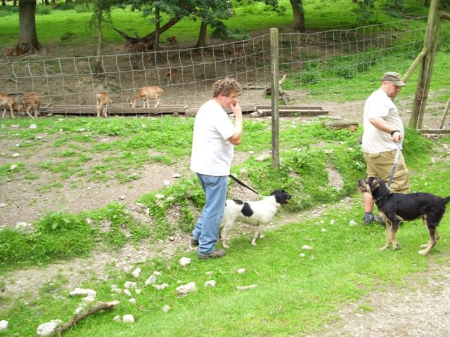 20080706_1487745095_img_0372_klein