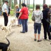 20080706_1207208783_img_0351_klein