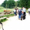 20080706_1222915742_img_0355_klein