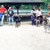 20080706_1385336564_img_0343_klein