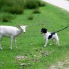 20080706_1740297589_img_0365_klein