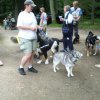 20080706_2046452895_img_0341_klein
