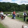 20080716_2016155901_p6210079-klein