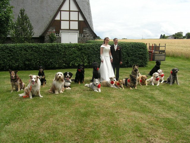 20110821_1516171569_hochzeit_0212