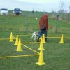 20140525_1335035897_jahresauftakt2014reduziert_10