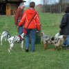 20140525_1478770136_jahresauftakt2014reduziert_12