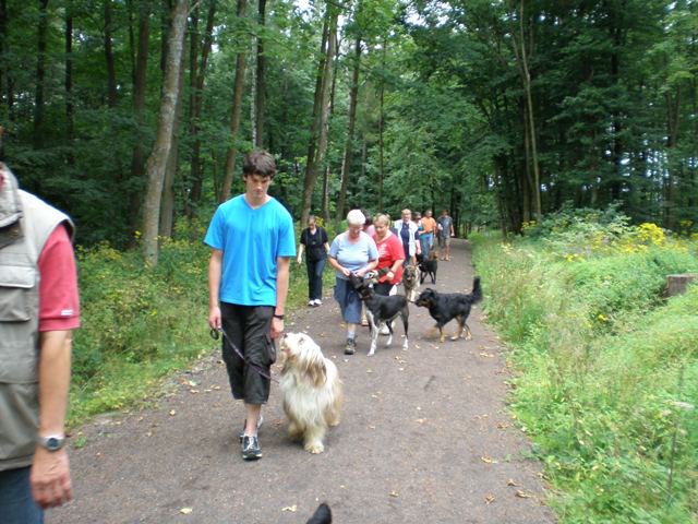 20080824_1116315535_kyrill003
