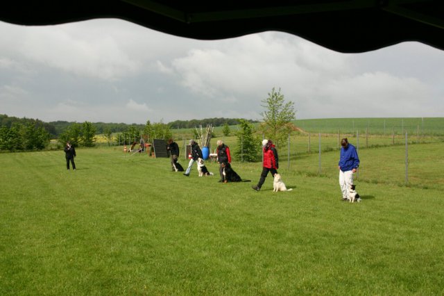 20110801_1266821565_img_5471
