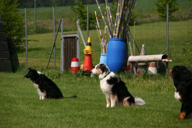 20110801_1369104555_img_5474