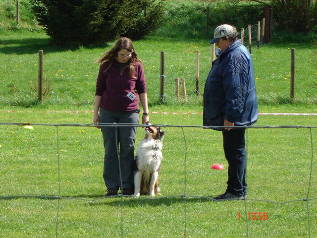 20080502_1081793106_skipschau