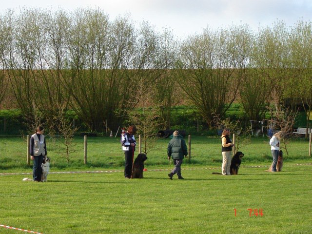 20080502_1220423214_beginner