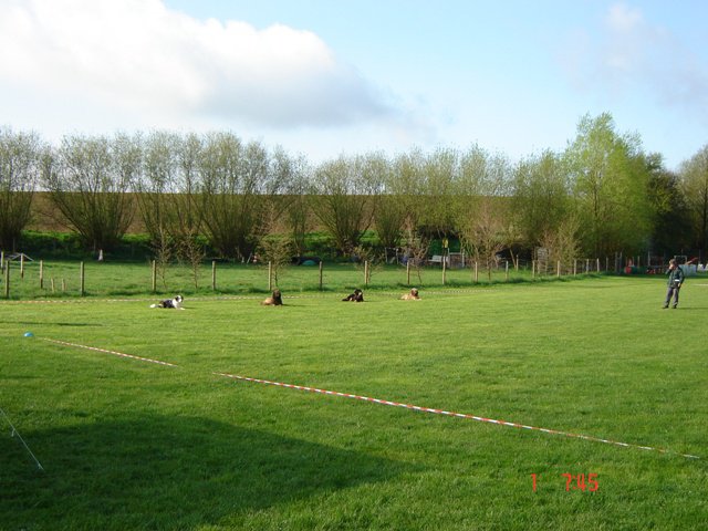 20080502_1241832085_beginnerablage