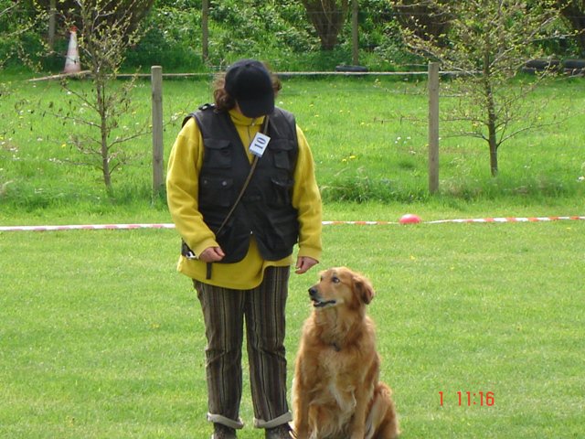 20080502_1674361835_christaelsa