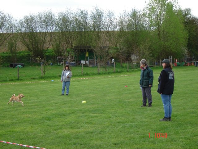 20080502_1886296190_bonnyapport
