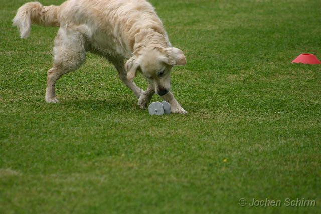20080613_1631889609_sally-metall