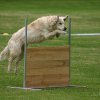 20080613_1209257782_sally-huerde